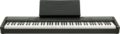 Casio CDP-100 - Contemporary Digital Piano