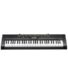 Casio CTK-230 – Standard Keyboards